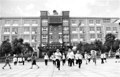 一粒种子生发一片希望