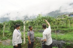 扶贫资金拧紧了安全阀 两任扶贫办主任落马之后