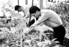 疫情下的暖心就业季