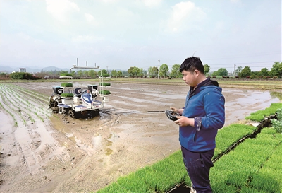 图为智能无人驾驶插秧机在浙江省武义县泉溪镇麻蓬自然村的农田里插种早稻秧苗。该款智能无人驾驶插秧机采用北斗定位技术,在插种田块四角定位后将数据输入遥控设备,工作人员按下启动键就能在田里自动插种秧苗,一台机器一天能插种水稻20多亩,大大减轻了农民的劳动强度。新华社发(张建成 摄)
