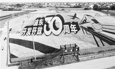 近日,上海市浦东新区惠南镇海沈村地铁16号线惠南东站旁,“浦东开发开放30周年”巨幅稻田画吸引不少游客前来观赏。“十四五”规划建议提出,推进京津冀协同发展、长江经济带发展、粤港澳大湾区建设、长三角一体化发展,打造创新平台和新增长极。(图片来源:人民视觉)