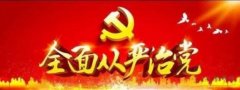 发挥全面从严治党政治引领保障作用