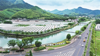 2021年7月,浙江省杭州市淳安县枫树岭镇下姜村,由葡萄园、草莓园、桃园组成的现代化智能农业园区,呈现出一派新农村的美丽图景。 (图片来源:视觉中国)