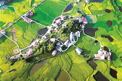 2021年8月20日,俯瞰湖南省娄底市双峰县井字镇花山村,硬化后的公路到组到户,持续拓展的交通扶贫成果同乡村振兴有效衔接,不断带动壮大农村集体经济,促进农业增效、农民增收。(图片来源:视觉中国)