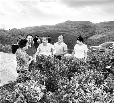 近日,中央纪委国家监委驻中央统战部纪检监察组干部在贵州省黔西南布依族苗族自治州晴隆县,调研督查综合监督单位帮扶民族地区巩固拓展脱贫攻坚成果同乡村振兴有效衔接情况。项健 摄