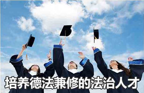 王少峰：不断培厚良好政治生态的土壤