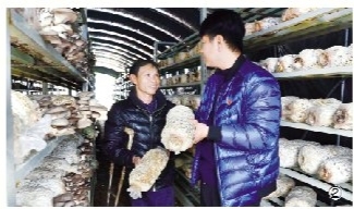 想脱贫,光说不练不行,弄虚作假更不行,只有真的沉下心,动脑筋,想办法,下功夫,带领大家一步步干,乡亲们才会真认可你,才会跟着你脱贫致富,廉政教育