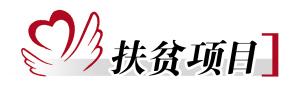 以制度规范解决“怎么驻”“如何扶”