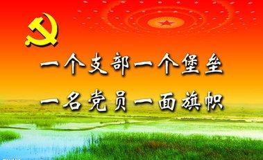 建强战斗堡垒,让乡村振兴动力澎湃