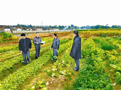 广东省汕头市纪委干部在扶贫领域监督执纪问责“百日攻坚”专项行动中向群众了解有关问题线索。(资料图片)