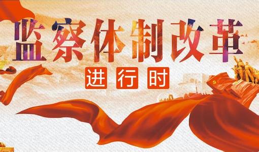 为新时代反腐败斗争提供坚强法治保障——代表委员审议讨论监察法