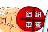 湖南省政府驻上海办事处主任王华平接受纪律审查和监察调查