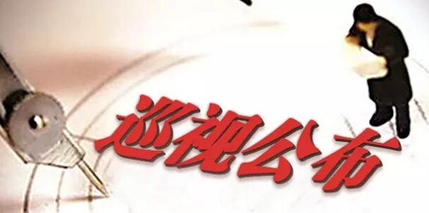 北京环卫集团、化工集团等4家单位公布巡视整改情况