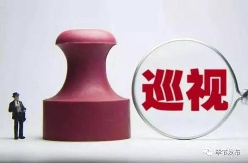 成都:采取9种方式开展内部巡察