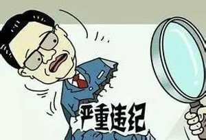 广东省两名干部涉嫌严重违纪违法被查