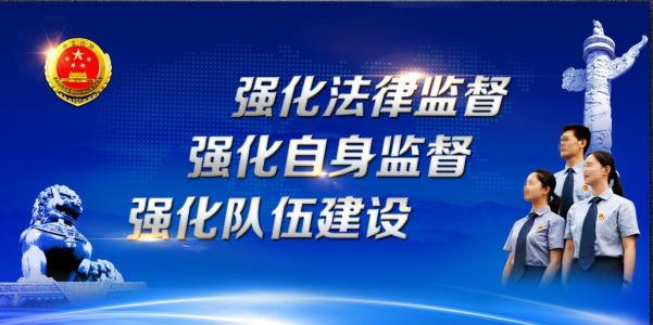 履行好监督这个首要职责