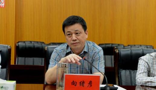 湖南检察机关依法对向绪彦提起公诉