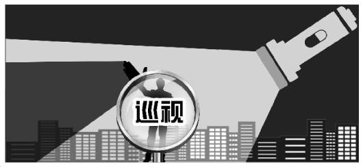 中国纪检监察报评论员：深刻把握政治巡视的内涵要求 督促六稳六保决策部署落实见效