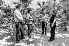 坚持系统思维 整治形式主义官僚主义