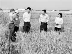 对得起肩上的责任 记江苏省盐城市纪委监委第十派驻纪检监察组