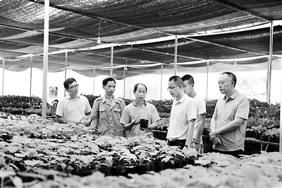 云阳县聚焦扶贫资金管理使用和扶贫项目招投标问题,启动“以案四改”工作。图为近日,县纪委监委干部到人和街道中兴村督查油桐苗圃基地项目推进情况。丁晓波 摄