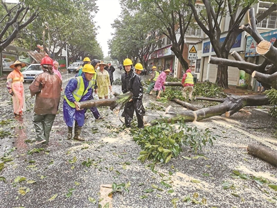 8月11日,漳州市纪检监察干部与应急抢险队员一道清理路面倒伏树木,及时排除安全隐患。陈德莲 摄