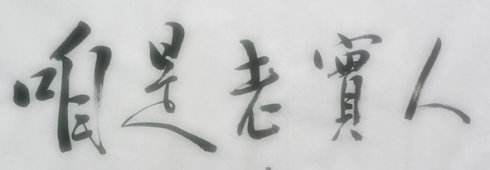 当老实人讲老实话