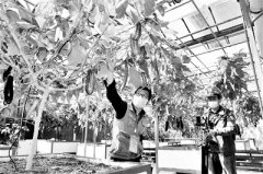 开辟复工复产云战场