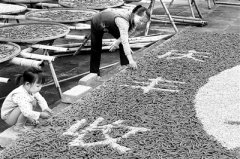 秋粮归仓粒粒珍