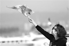 沙鸥翔集 和谐与共