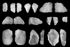 更加清晰展现文明起源