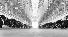 田怎么浇 农产品怎么卖 村里的事怎么办 “数字”让乡村更美好