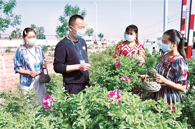 沙雅县纪委监委干部深入努尔巴克乡振兴村玫瑰种植基地,面对面向群众了解村干部履职、秉公用权情况。刘少丹 摄